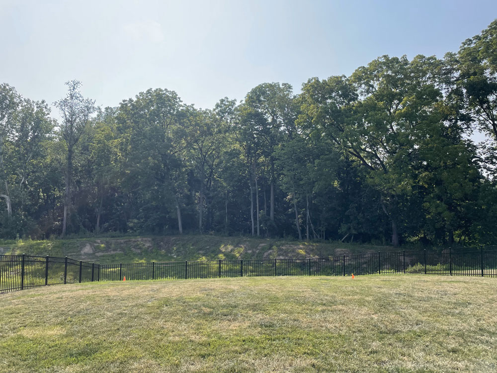 A wide view of black aluminum fencing surrounding a grassy backyard with tall trees in the distance.