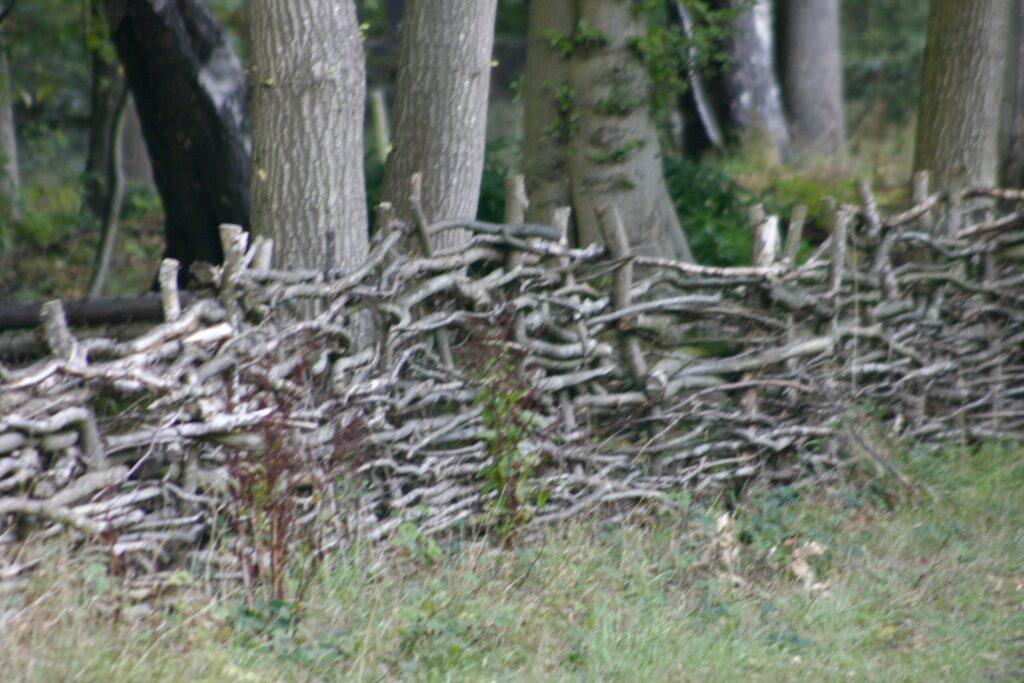 A rustic woven fence made from intertwined branches runs alongside tall trees in a wooded area. The natural barrier blends...