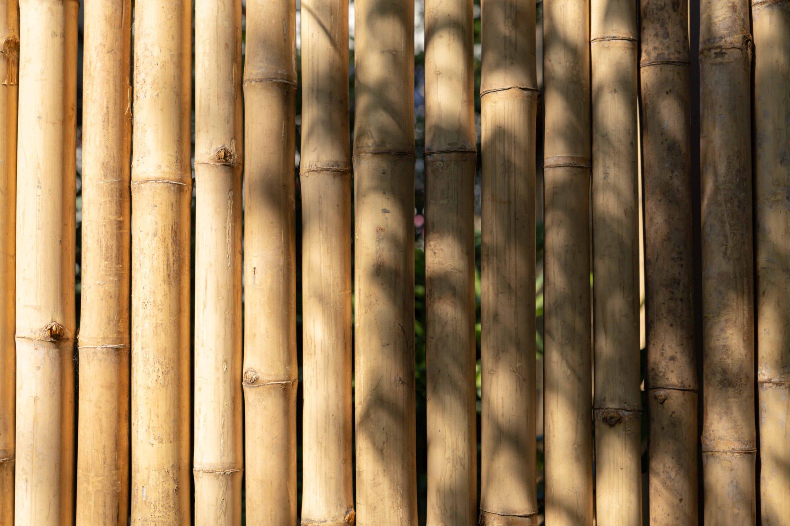 A row of bamboo sticks with a shadow on the ground. light and tree shadows on bamboo wall.