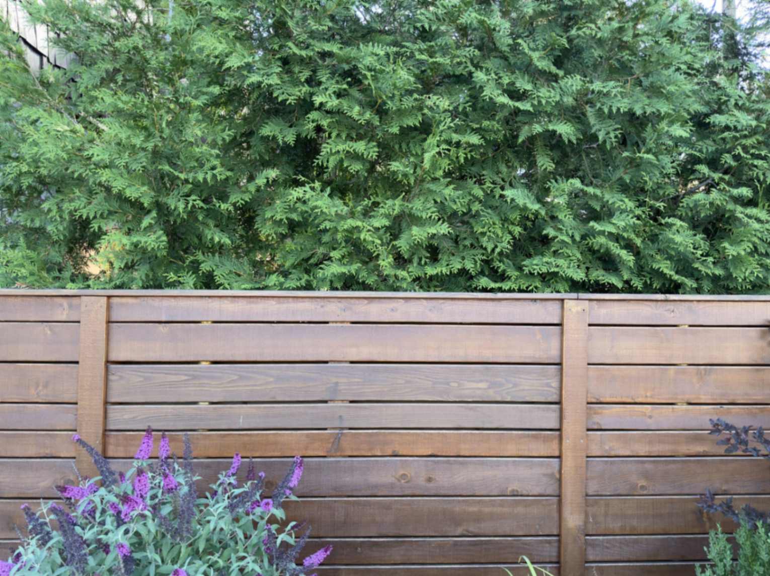 A Charming Wooden Backyard Garden Fence Stands Nex