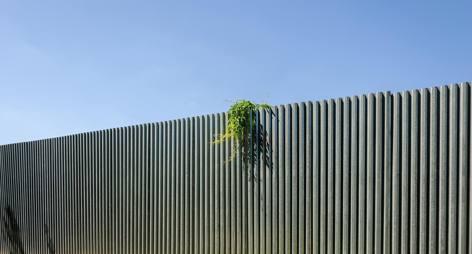 A Fence With A Plant Growing On It