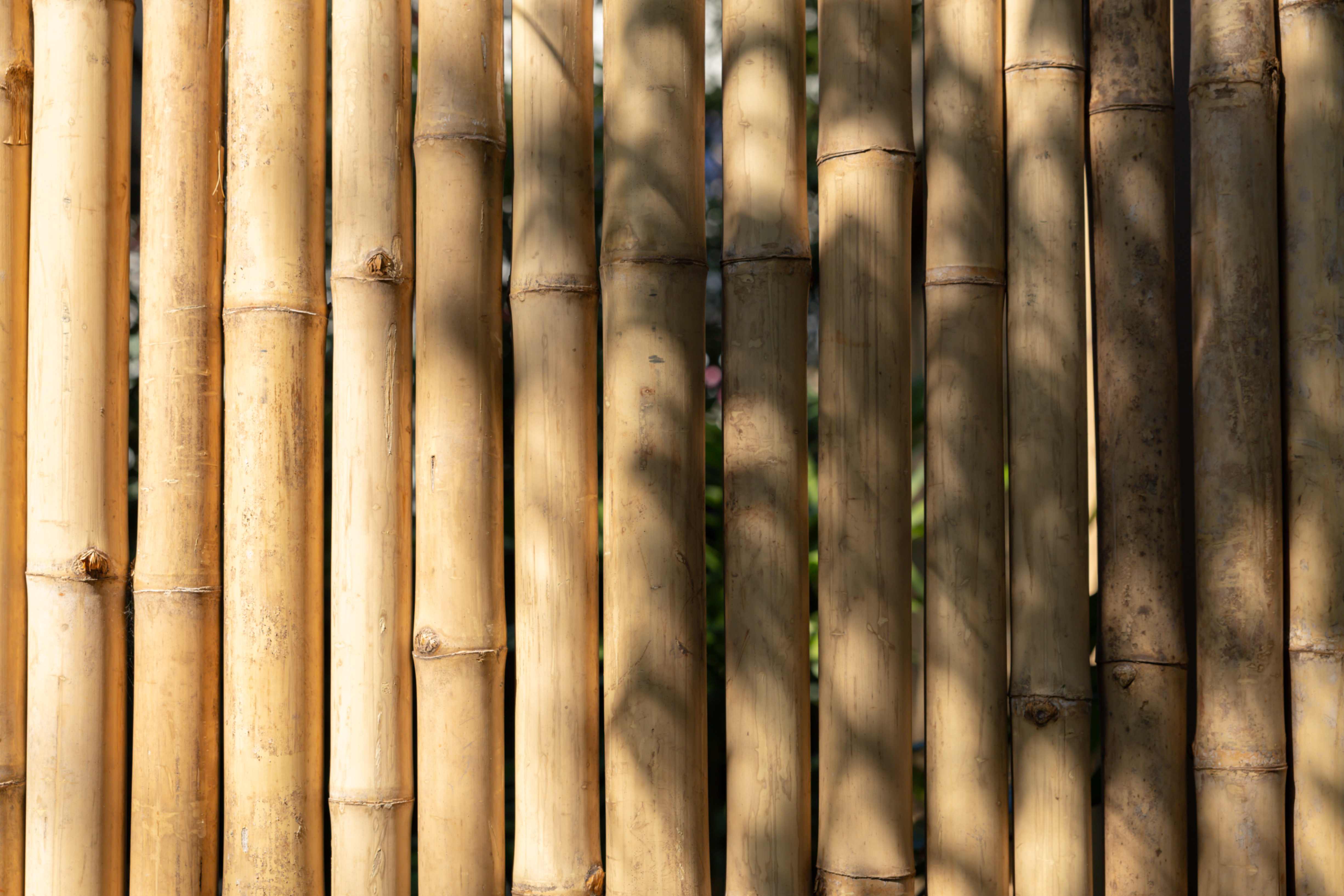 A Row Of Bamboo Sticks With A Shadow On The Ground