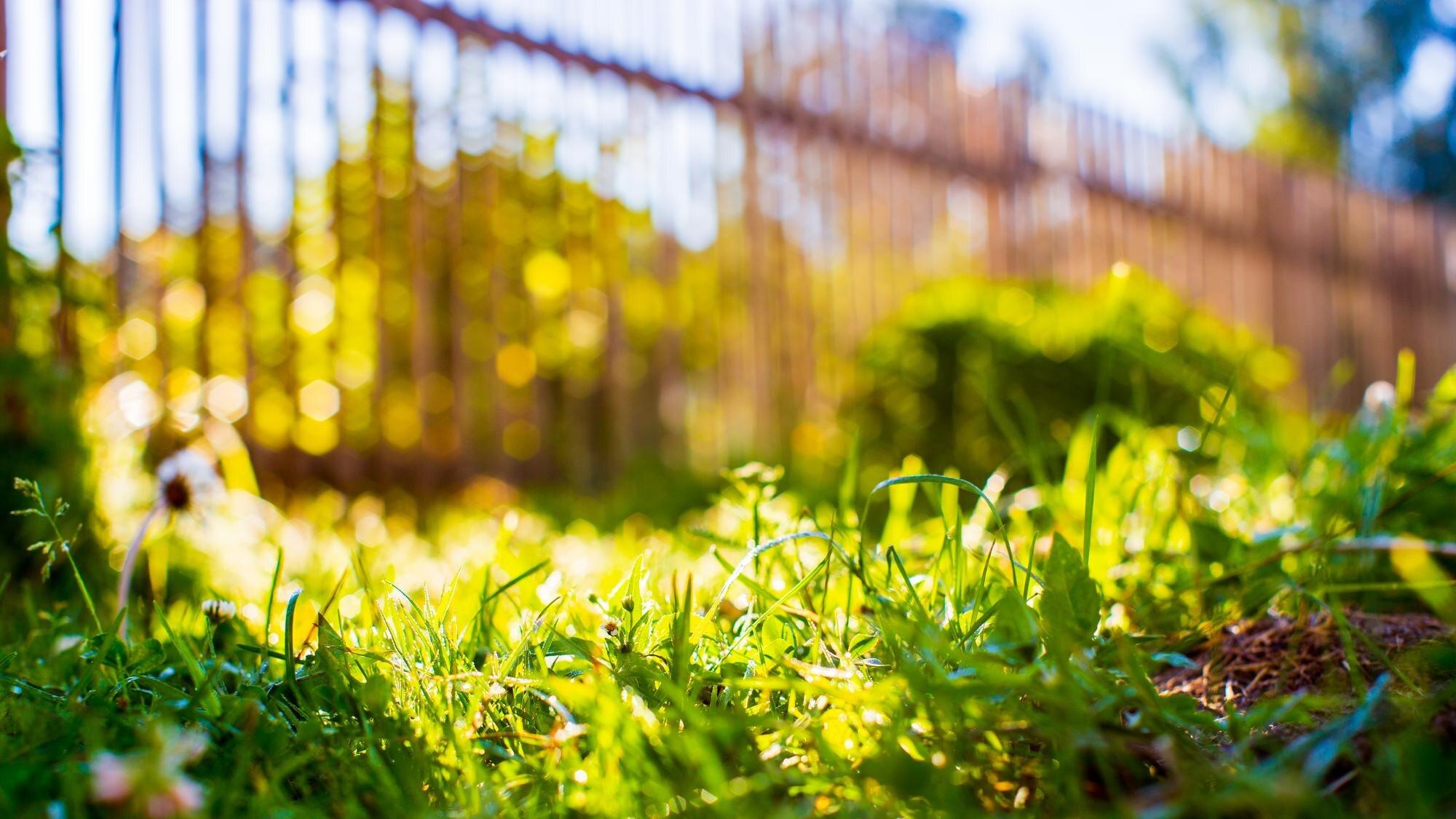 Background Panorama Of Natural Landscape Of Green