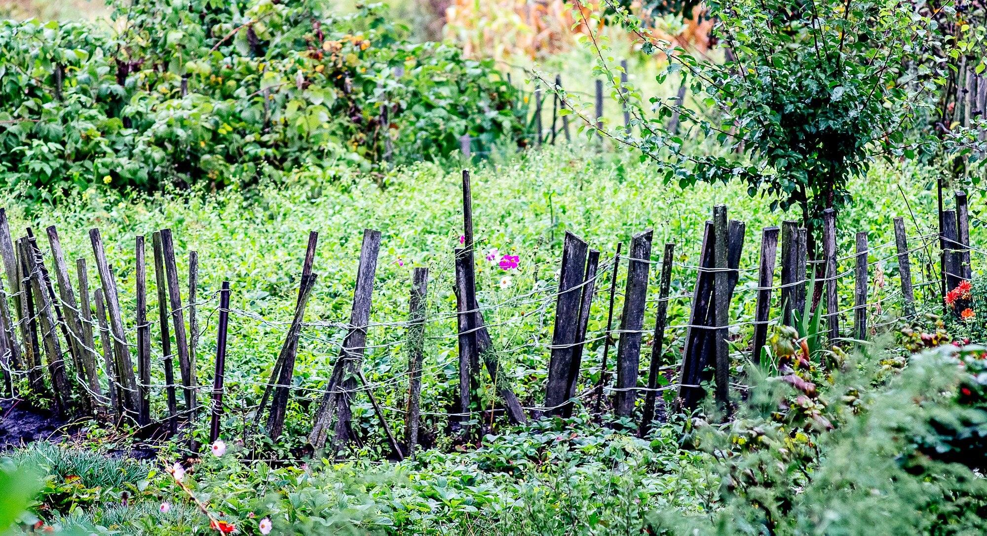 Bed In The Garden Fenced With A Palisade Country