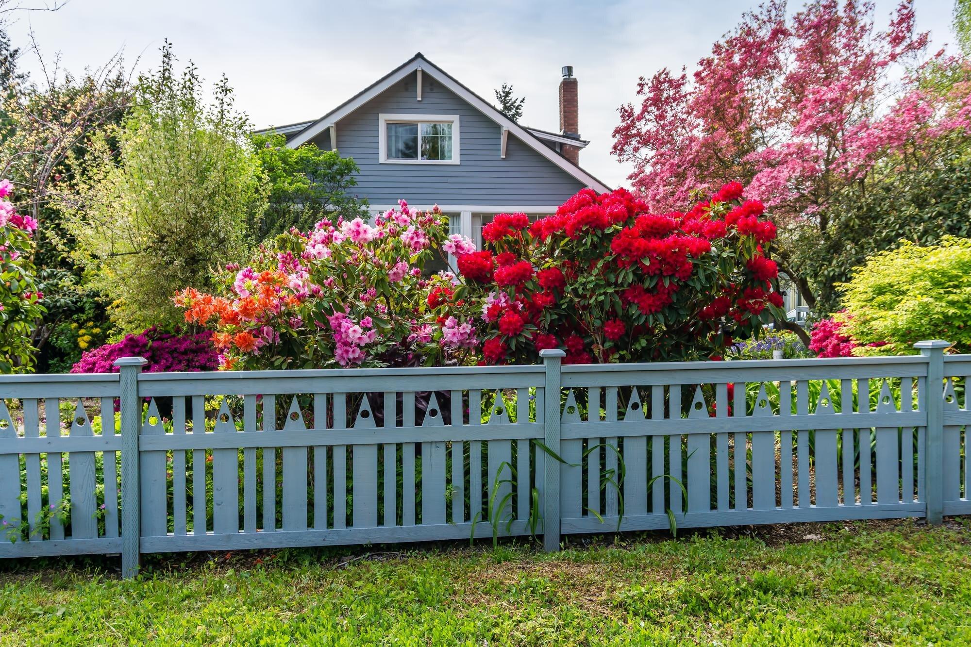 Brilliant Lush Flowers Bloom In The Front Yard Of