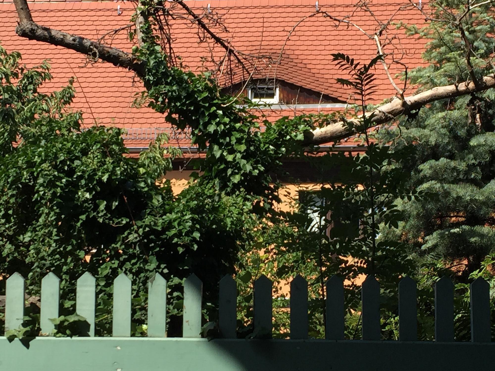 Building With Trees In Background