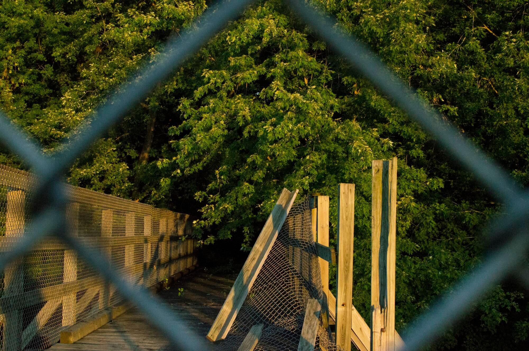 Chainlink Fence By Trees Against Sky