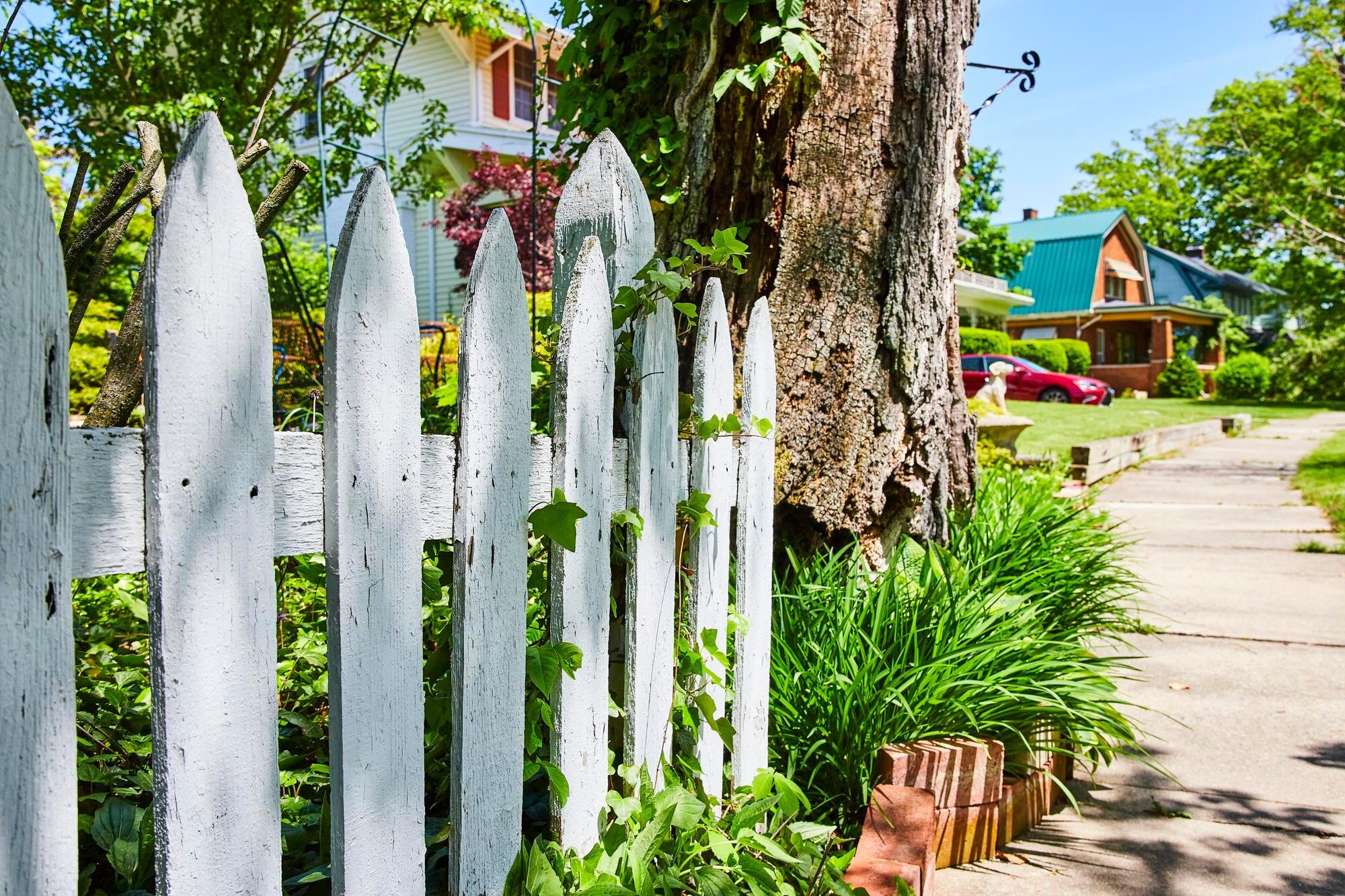Charming Suburban Street With Ivycovered Fence And