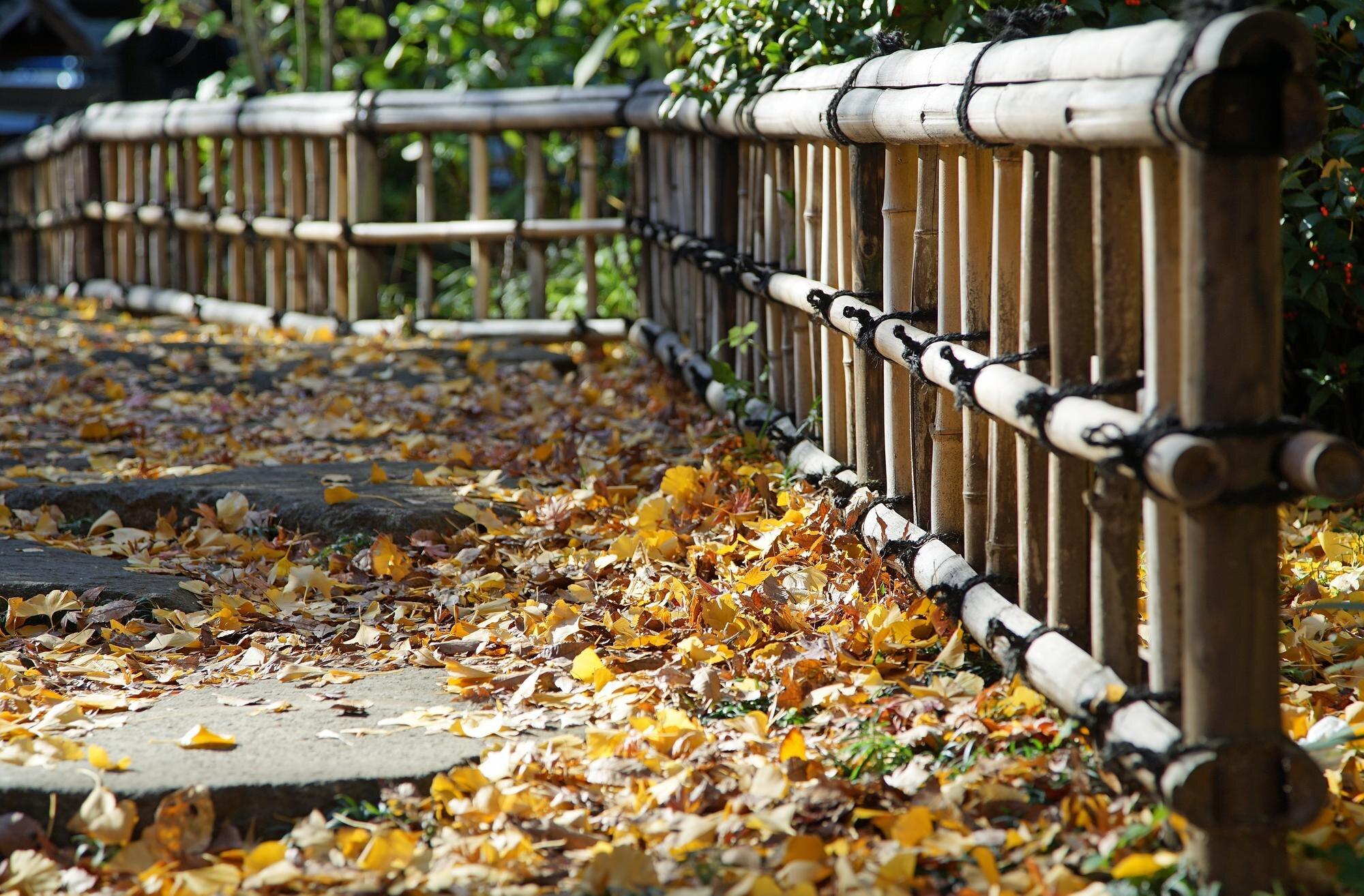 Close Up Of Fence