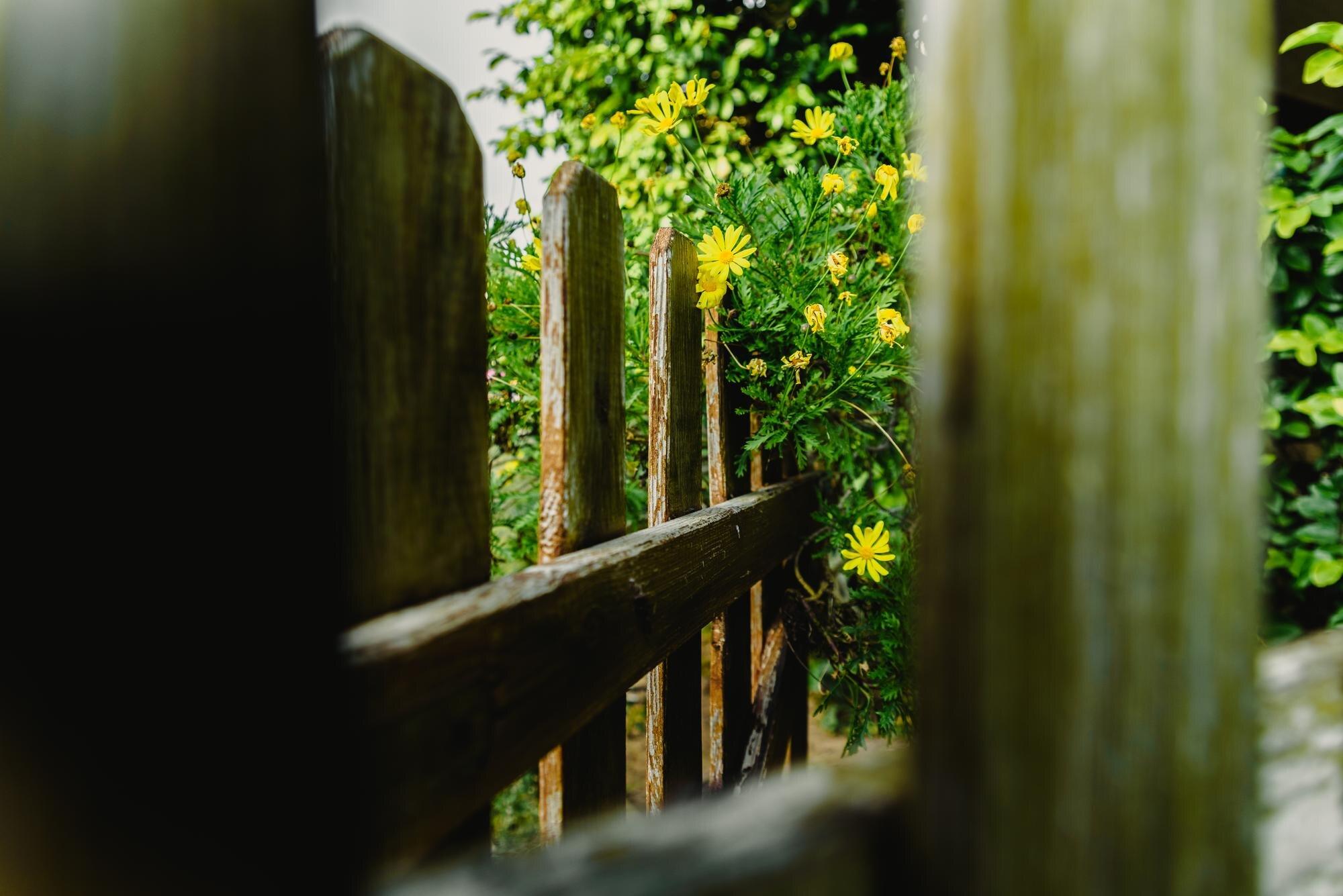 Close Up Of Wooden Railing Against Trees