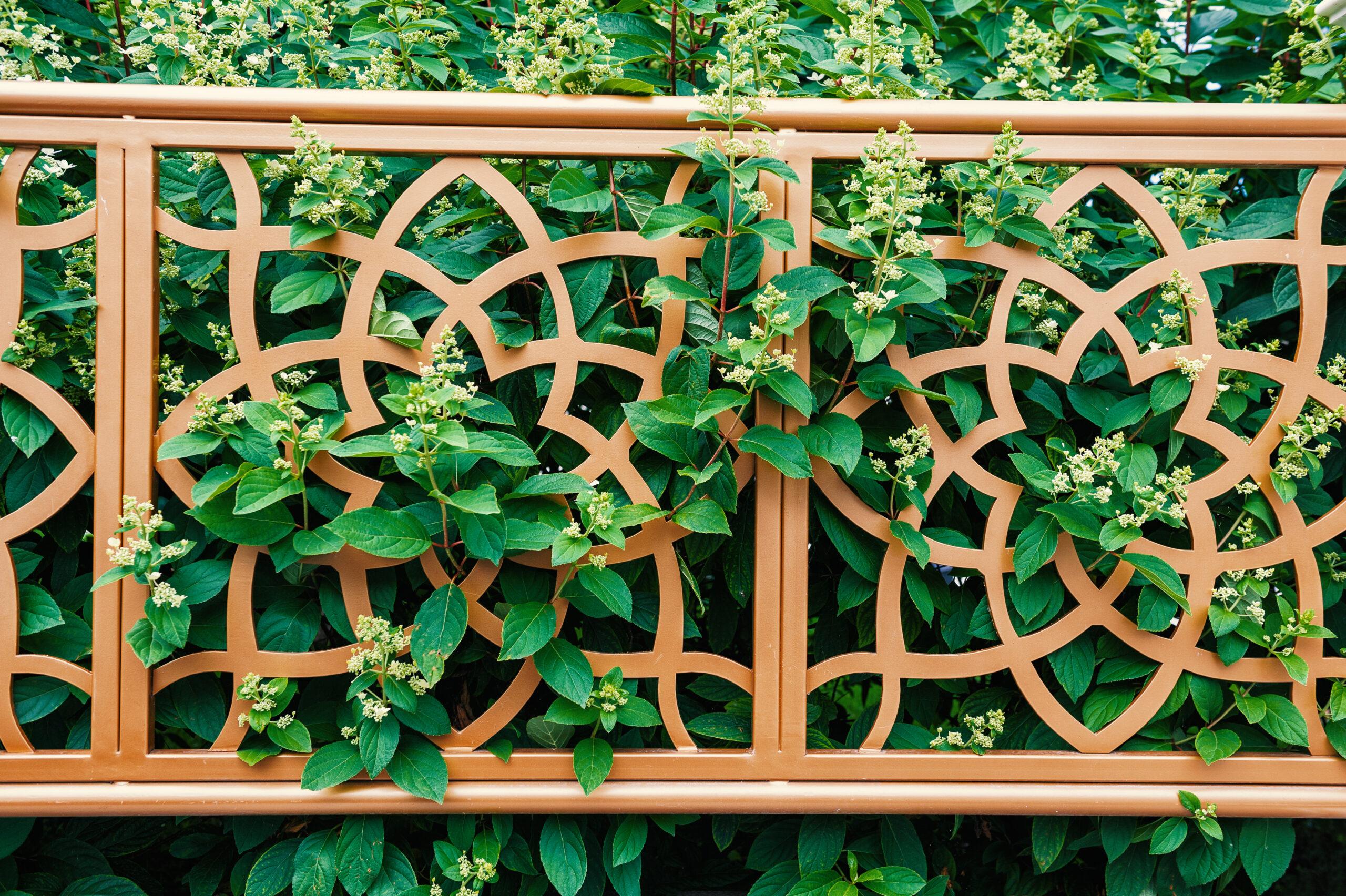 Decorative Fence With Floral Trellis Blends With L
