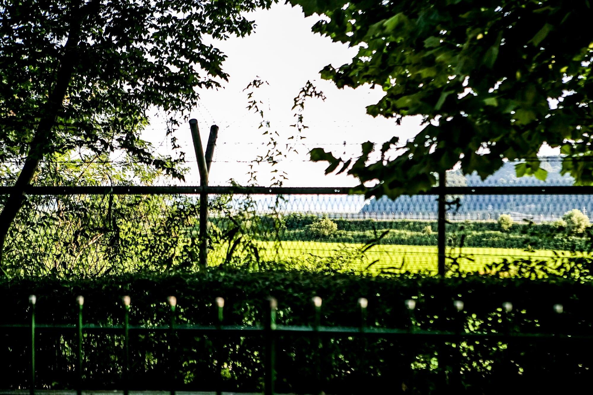 Fence Protecting Trees At Park