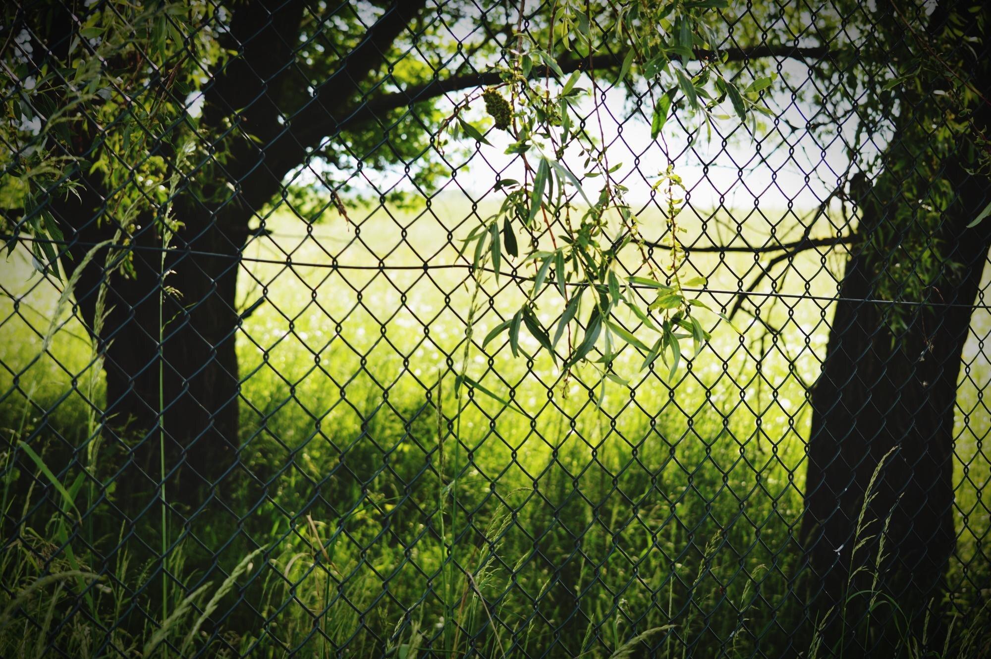Field Seen Through Chainlink Fence