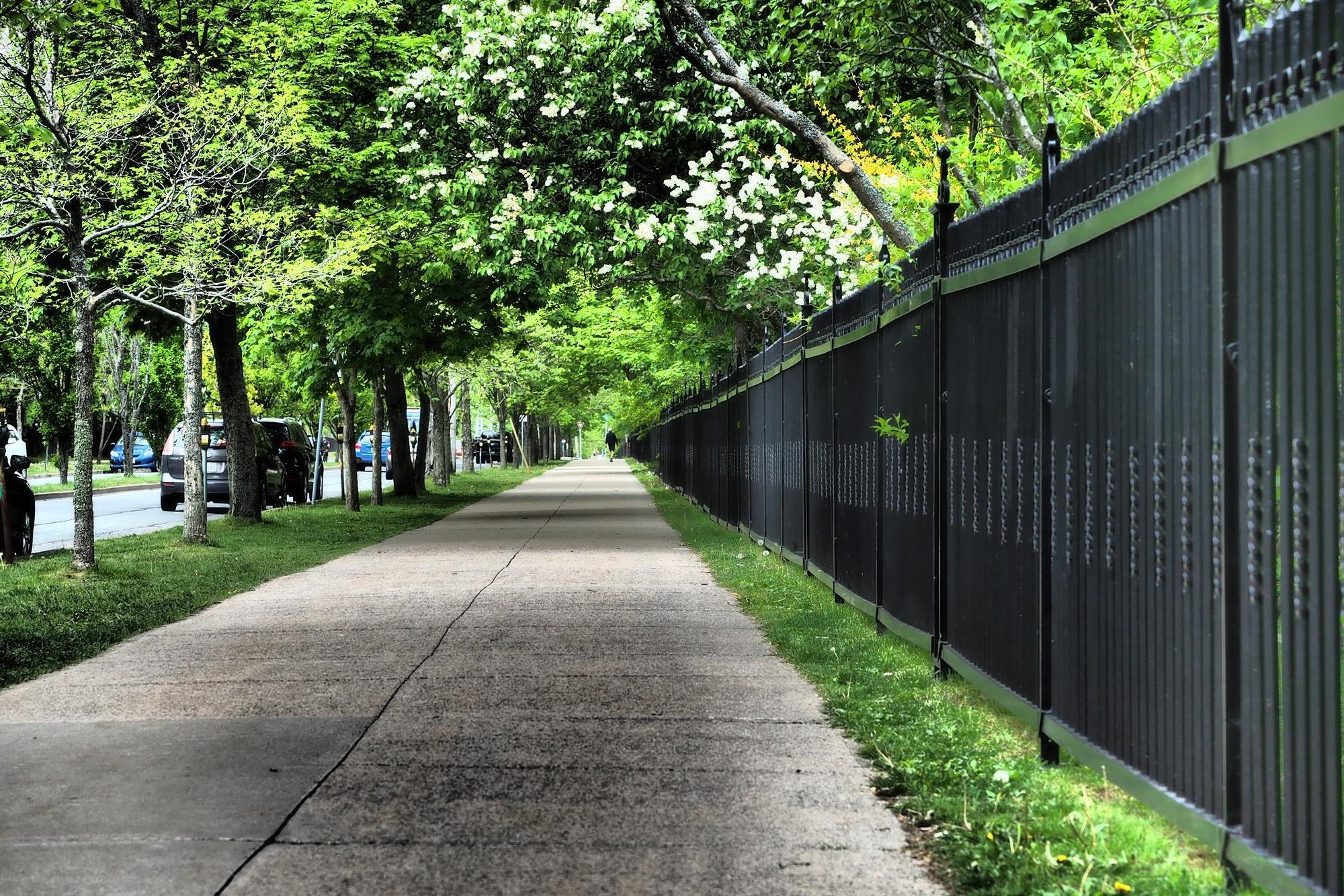 Footpath Amidst Trees In Park