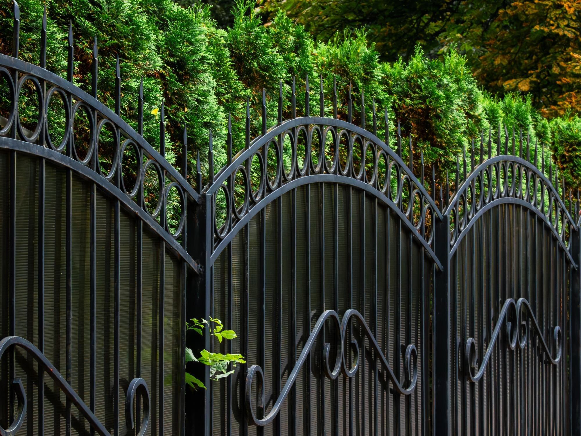 Forged Black Iron Fence With A Gate On A Strip Fou