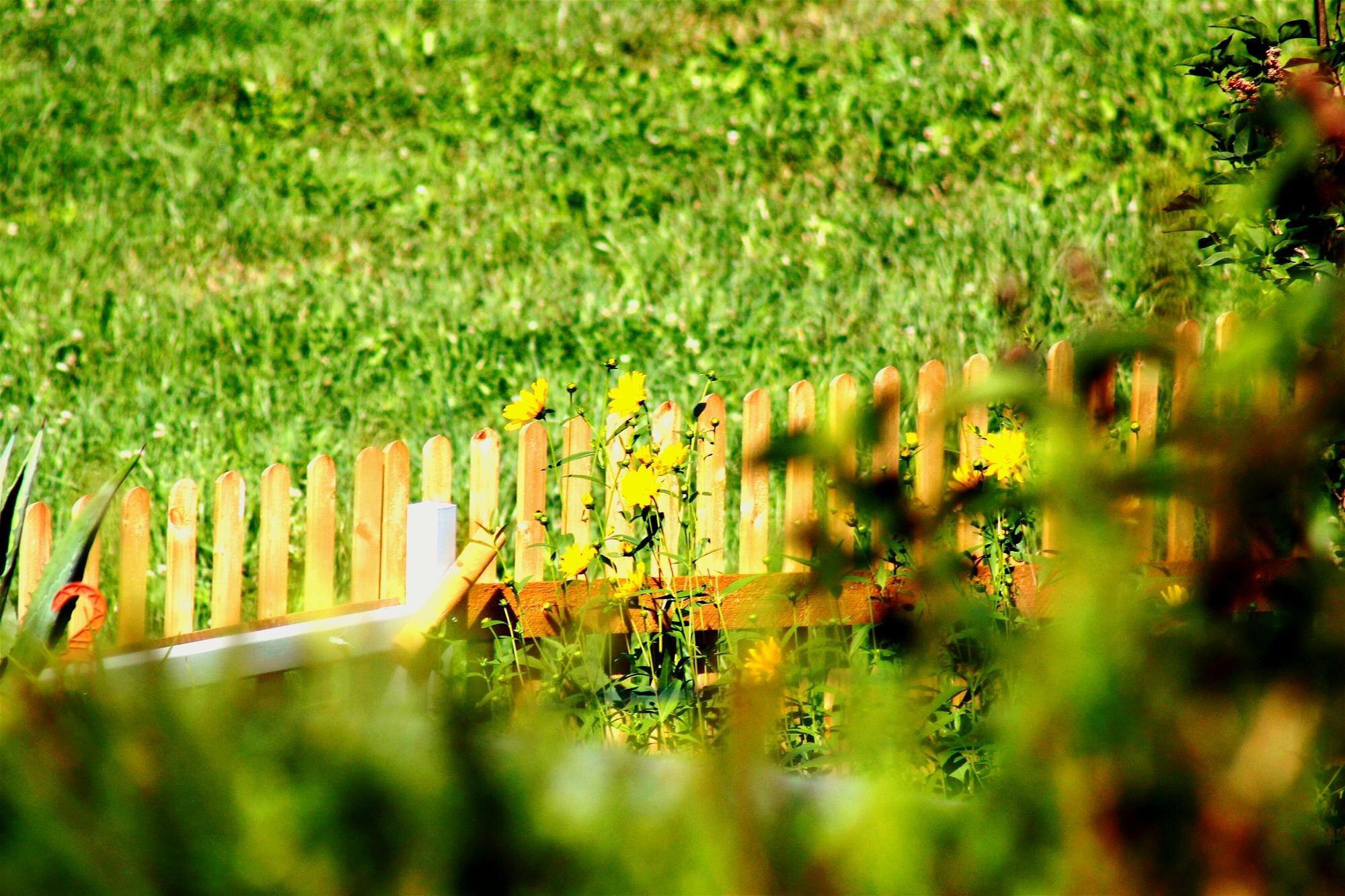 High Angle View Of Wooden Fence On Field