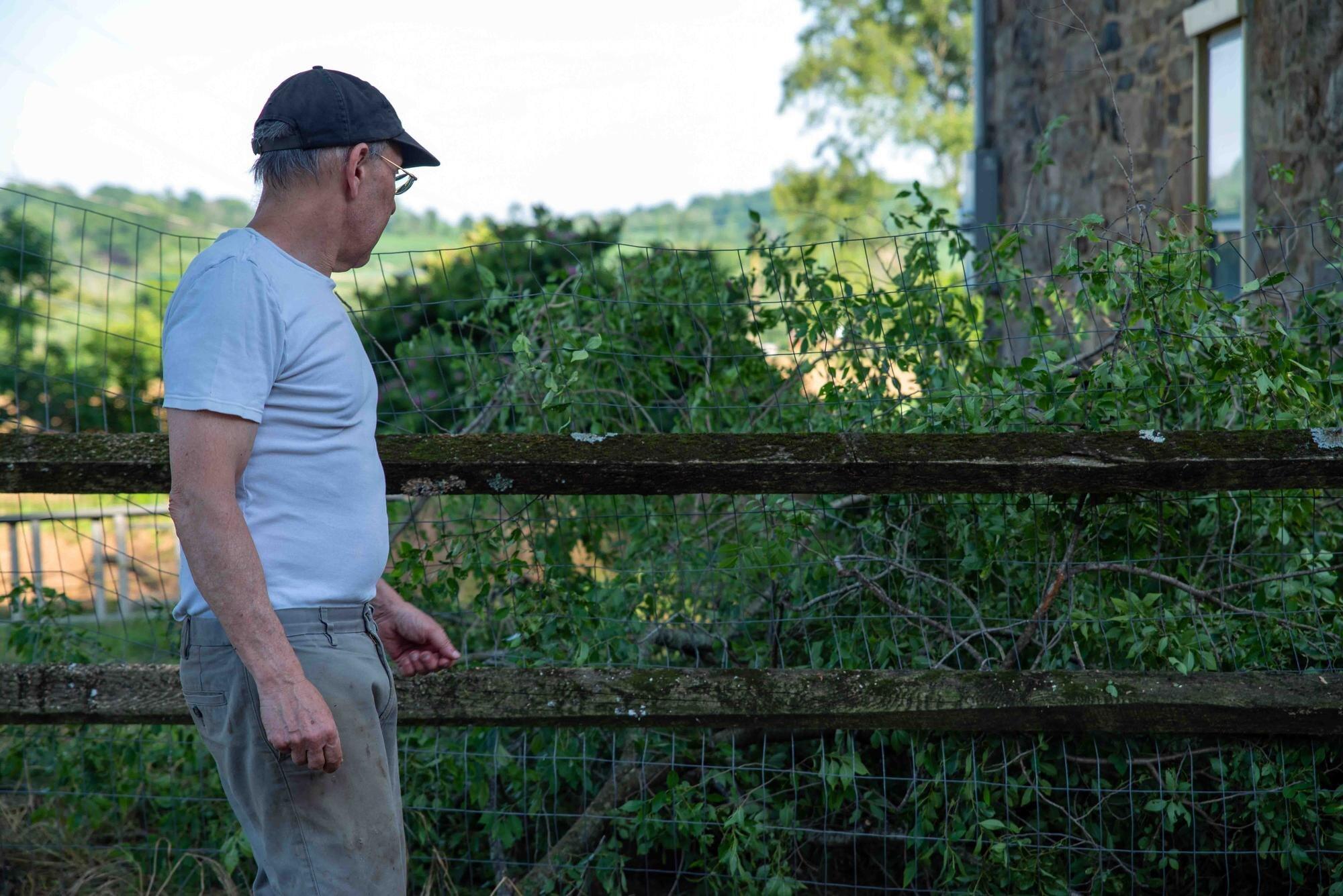 Off Center Man Looks At Fallen Branches Damage To