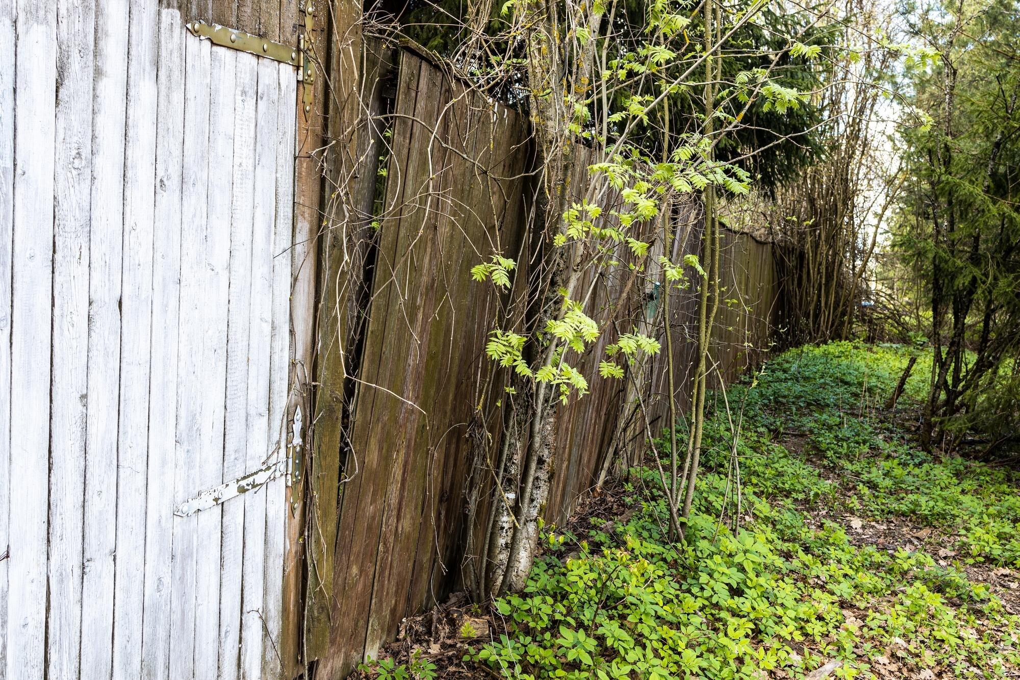 Painted Wooden Gate And Rickety Wooden Fence