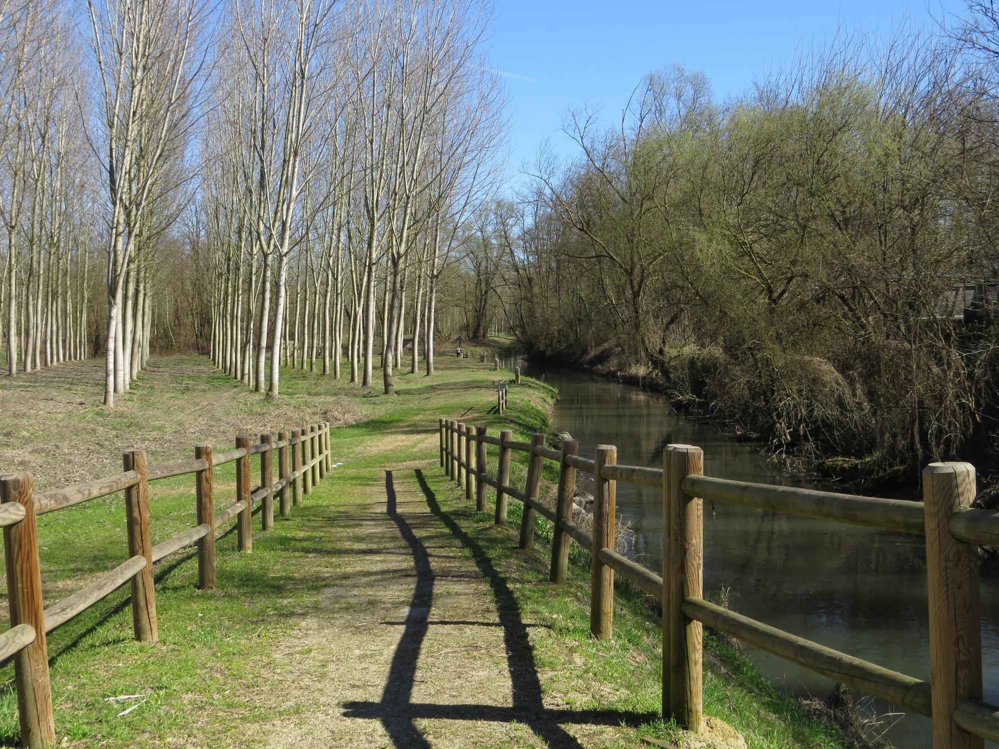 Scenic View Of Grass And Trees Against Clear Sky