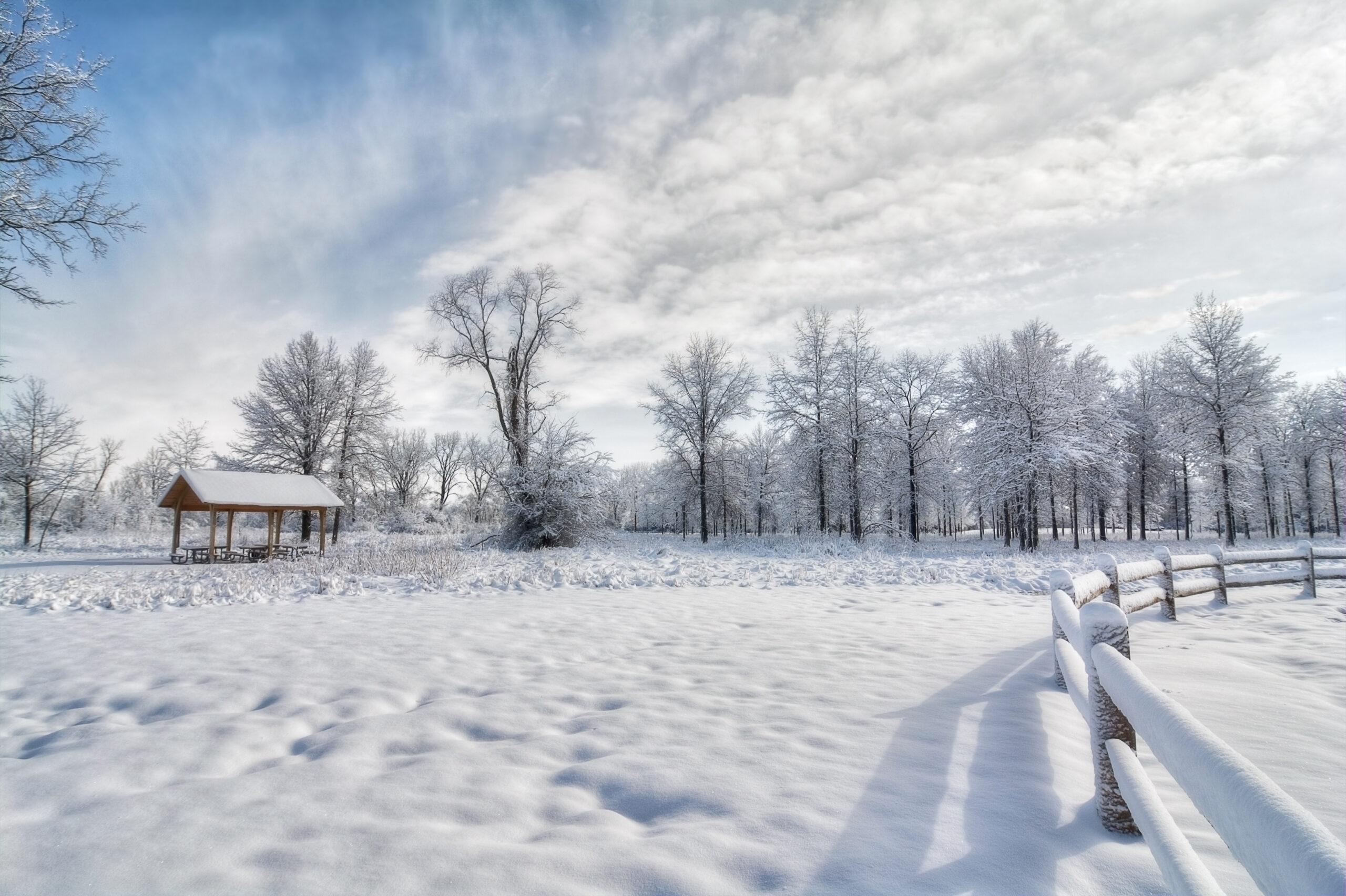 Snowy Winter Scene