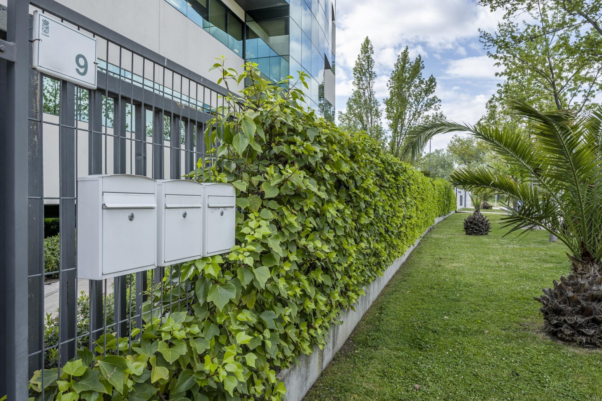 Terrace Of An Office Building Full Of Plants On A