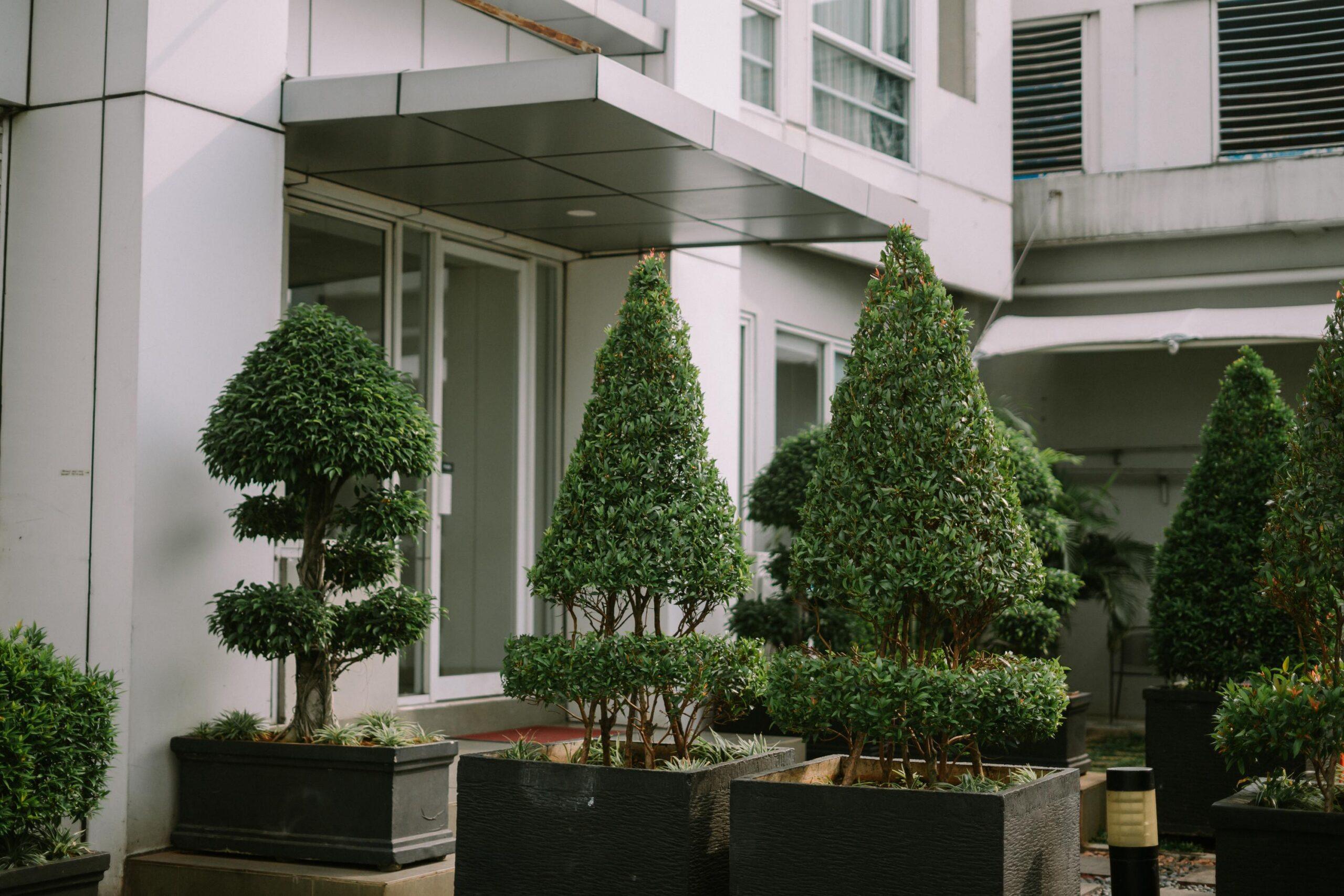 Trees Standing In Front Of An Exit Door Creating