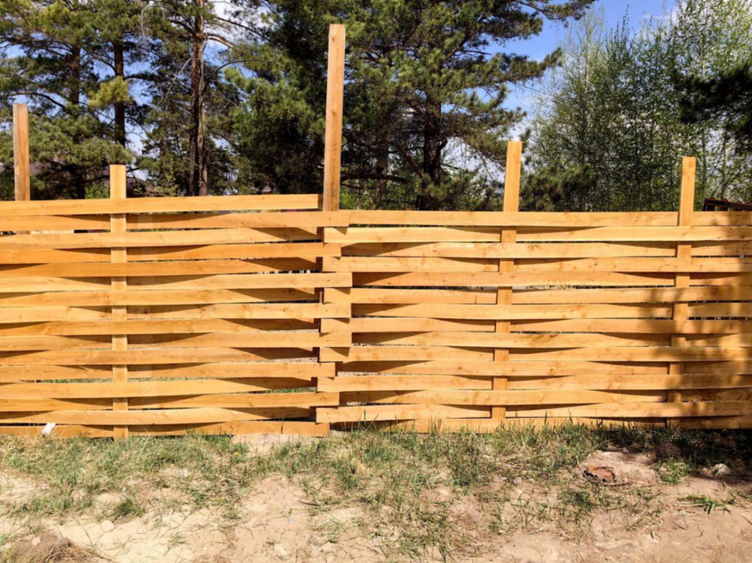 Unique Wooden Fence Design In Sunny Forest Clearin