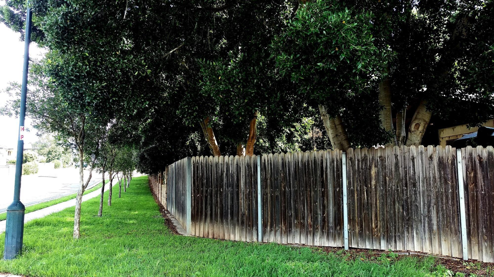 Wooden Fence By Trees And Grass
