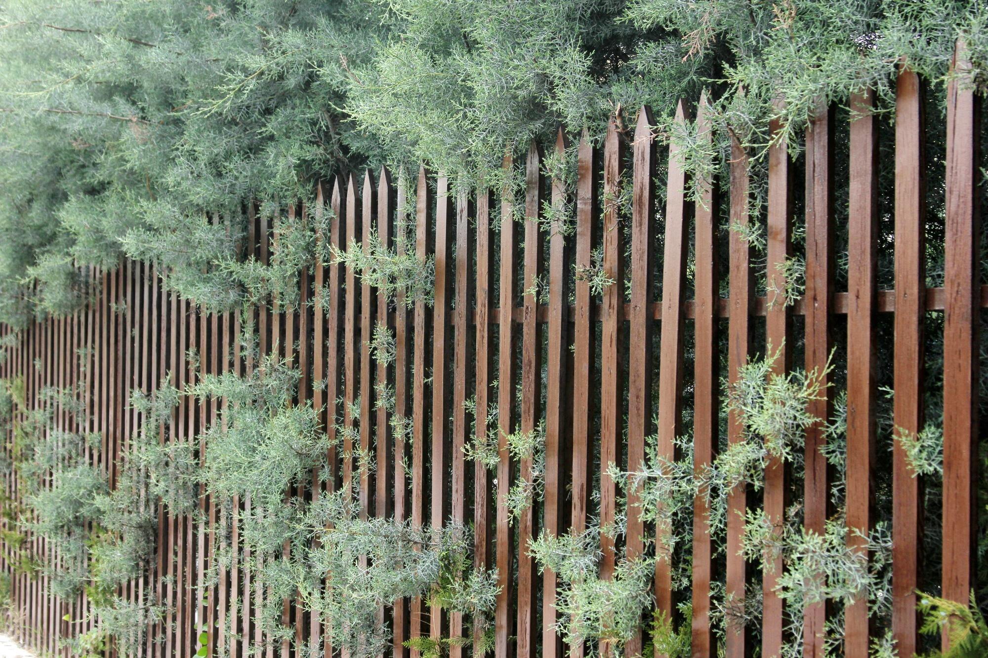 Wooden Fence In The Garden