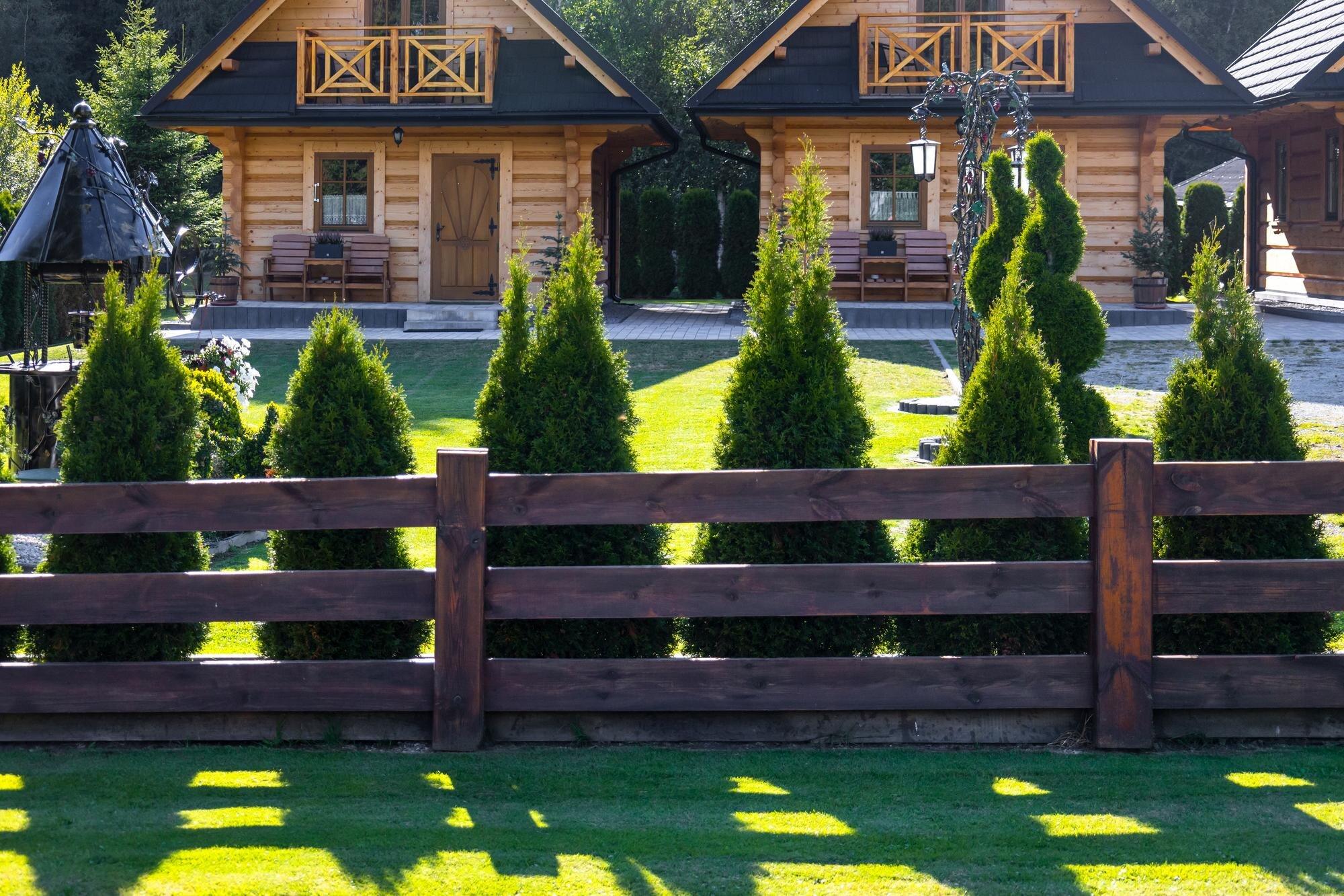 Wooden Fence Made Of Planks And Arborvitae Planted