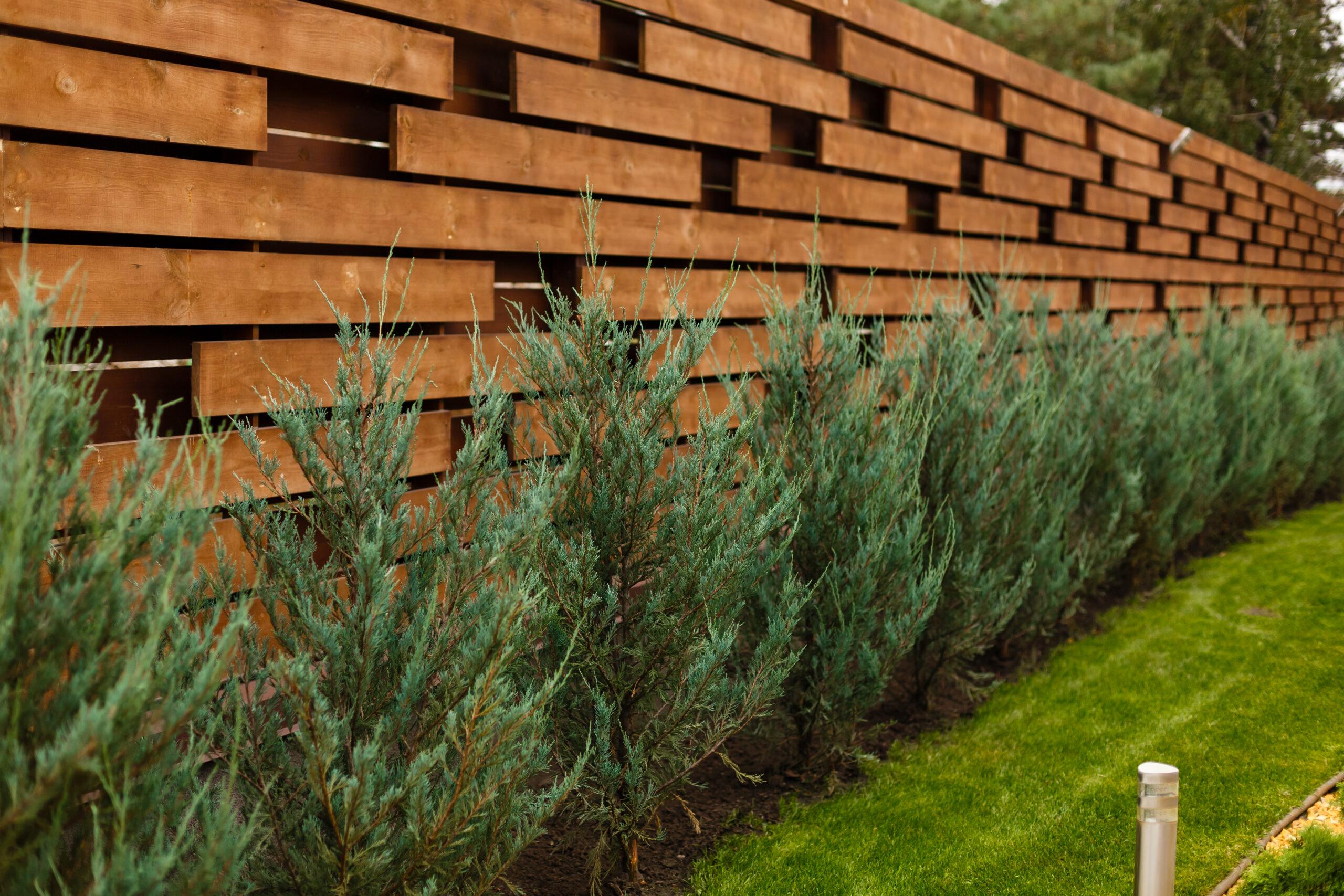 Wooden Fence With Green Lawn And Trees