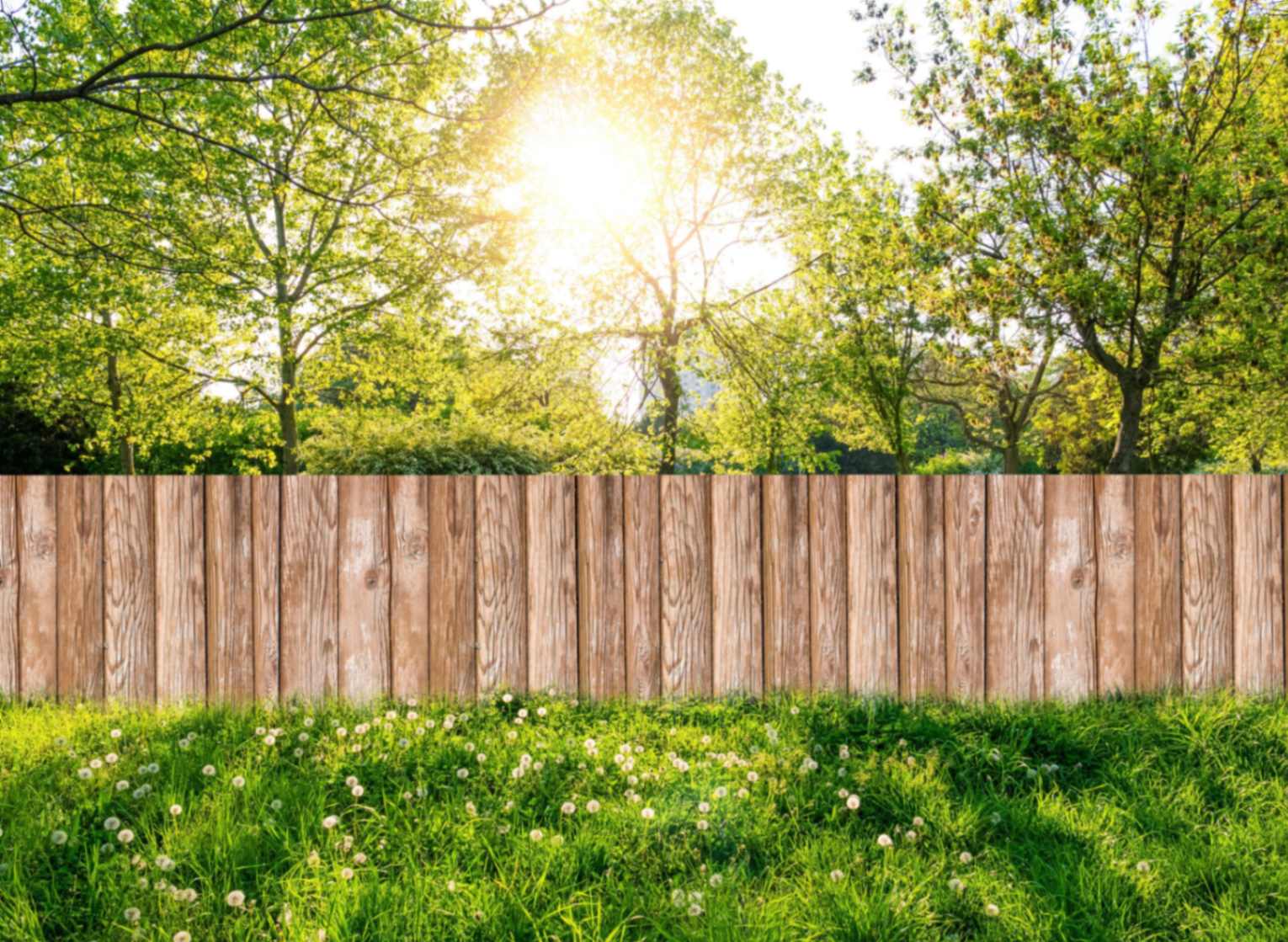 Wooden Garden Fence At Backyard In Spring